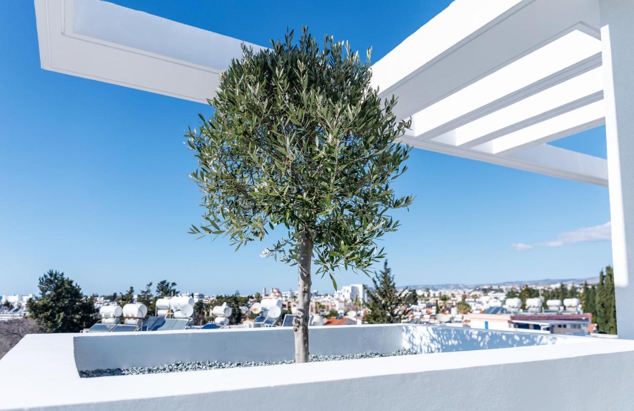 Regency Boutique Hotel Holiday Suites Pafos Dış mekan fotoğraf